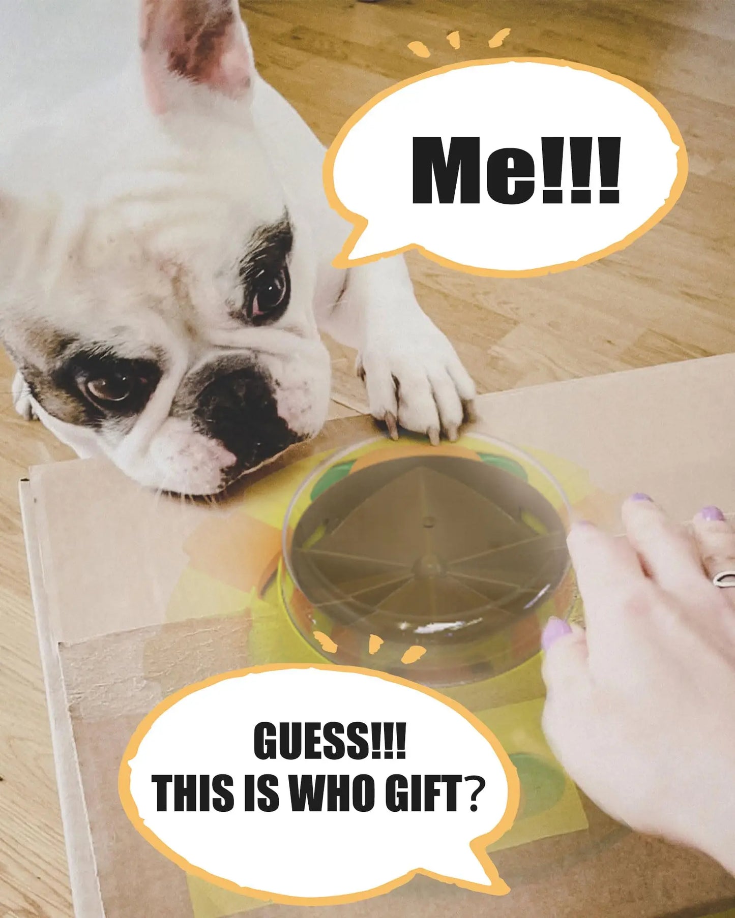 Hign-concerned Interactive Puzzle Toy For Dogs Feeder