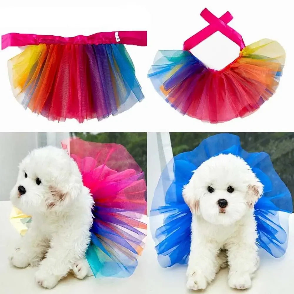 CN Zhejiang Tutu Dress Dog Outfit Premium Schnauzer Apparel