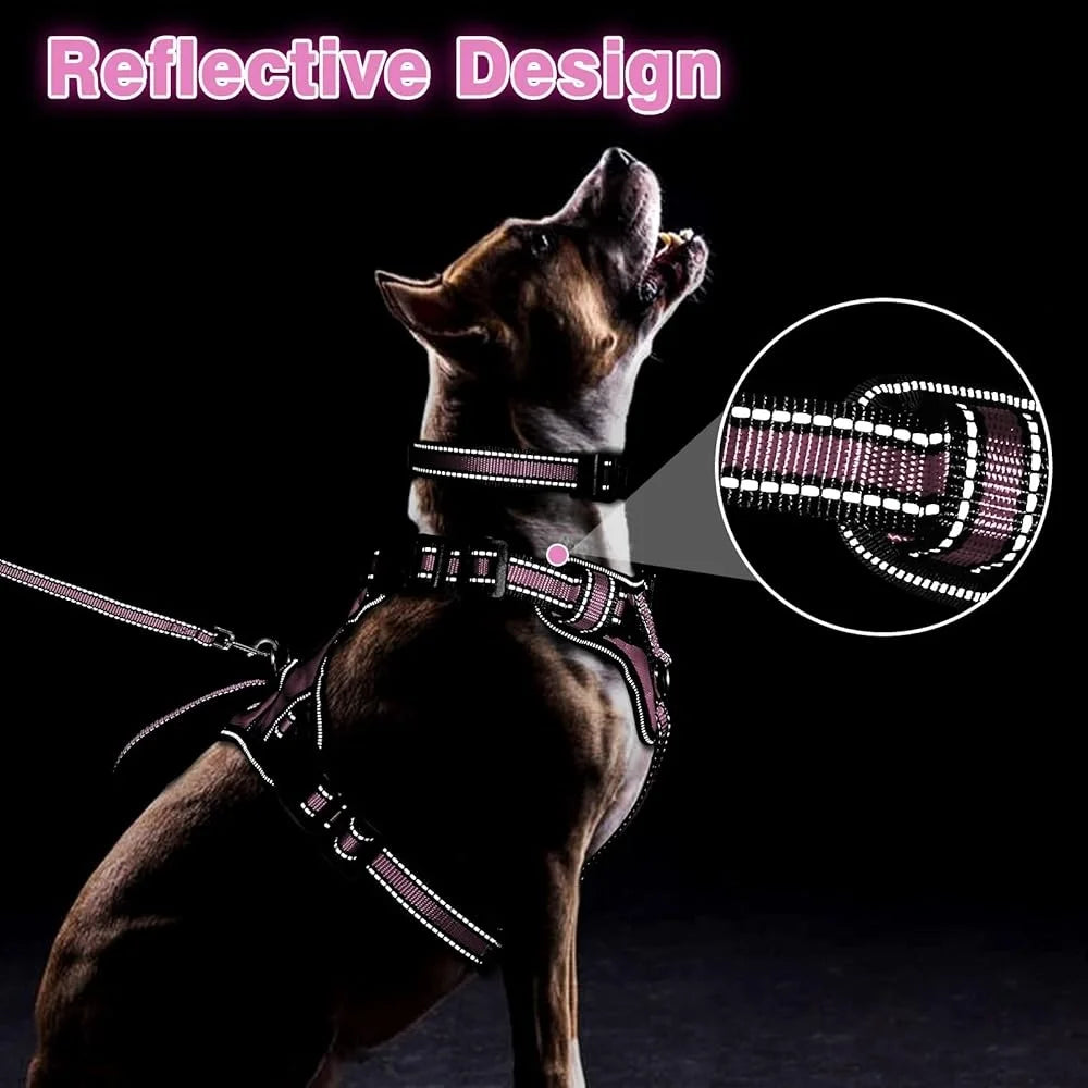 Fujian Reflective No Pull Pet Harness Leash Set For Dogs