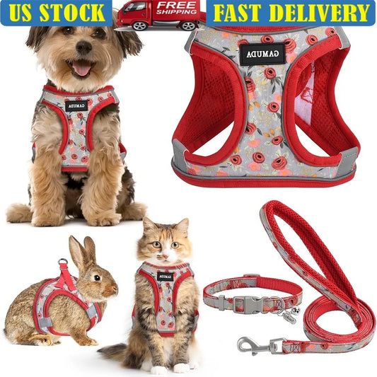 CN Fujian Adjustable Dog Harness Leash Set Reflective Vest