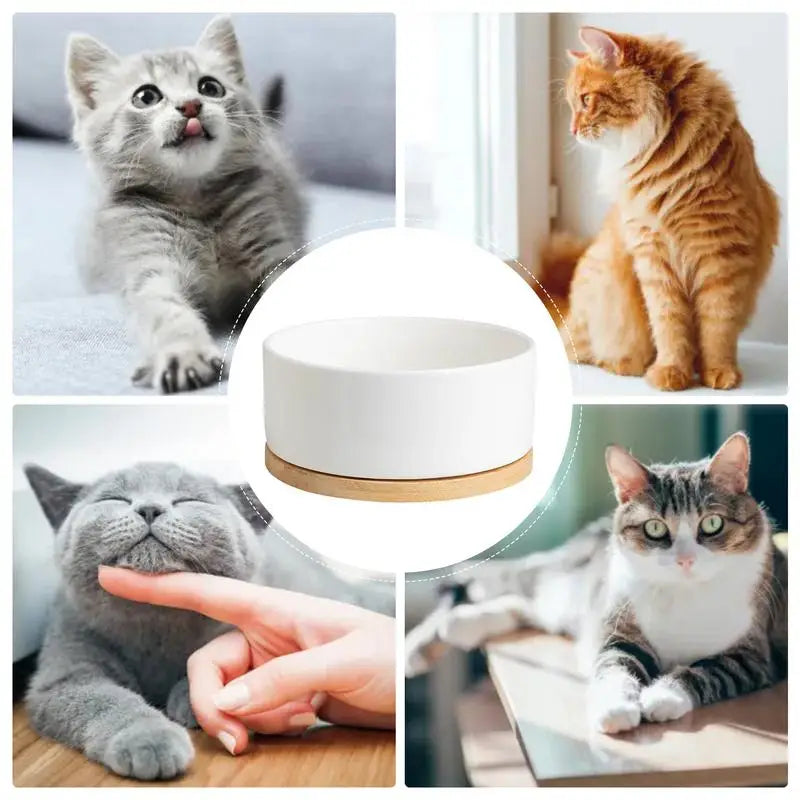 Hign-Concerned Thermostatic Heated Pet Water Bowl Outdoor