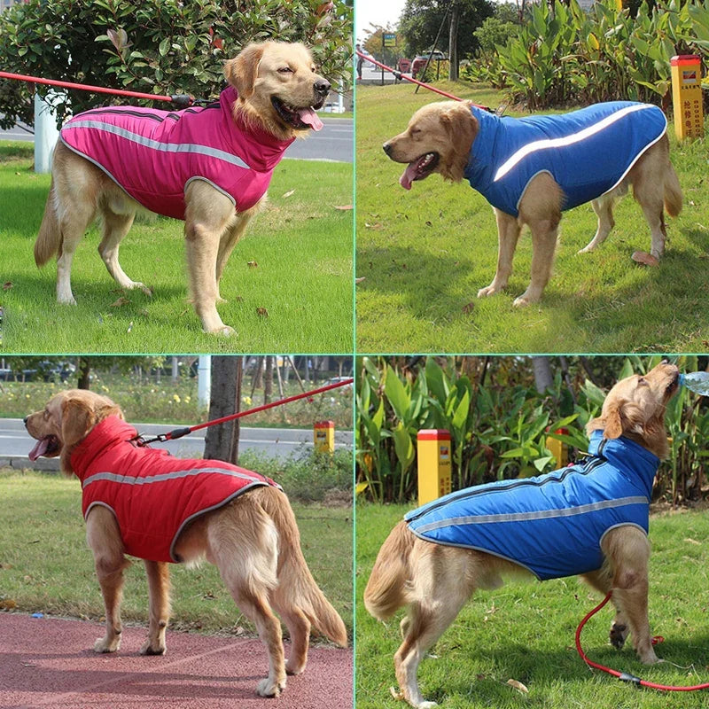 CDDMPET Waterproof Padded Dog Coat Reflective Design