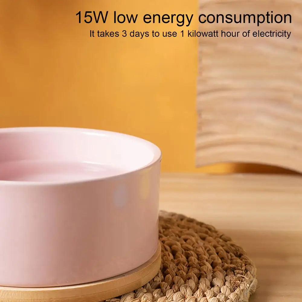 Hign-Concerned Thermostatic Heated Pet Water Bowl Outdoor