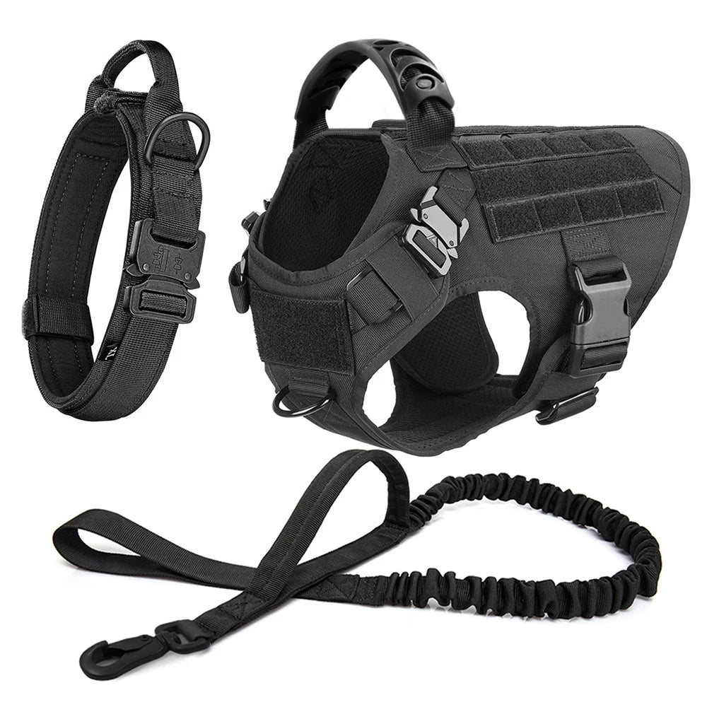 PETRAVEL Dog Harness And Leash Set For Training