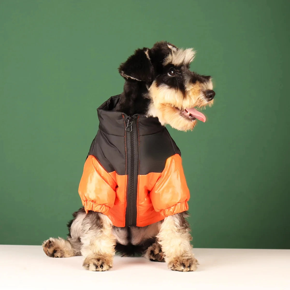 WANGUPETCN Winter Windproof Dog Jacket Reflective Coat