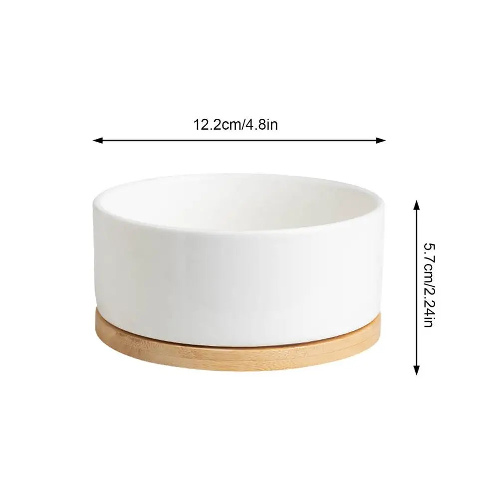 Hign-Concerned Thermostatic Heated Pet Water Bowl Outdoor