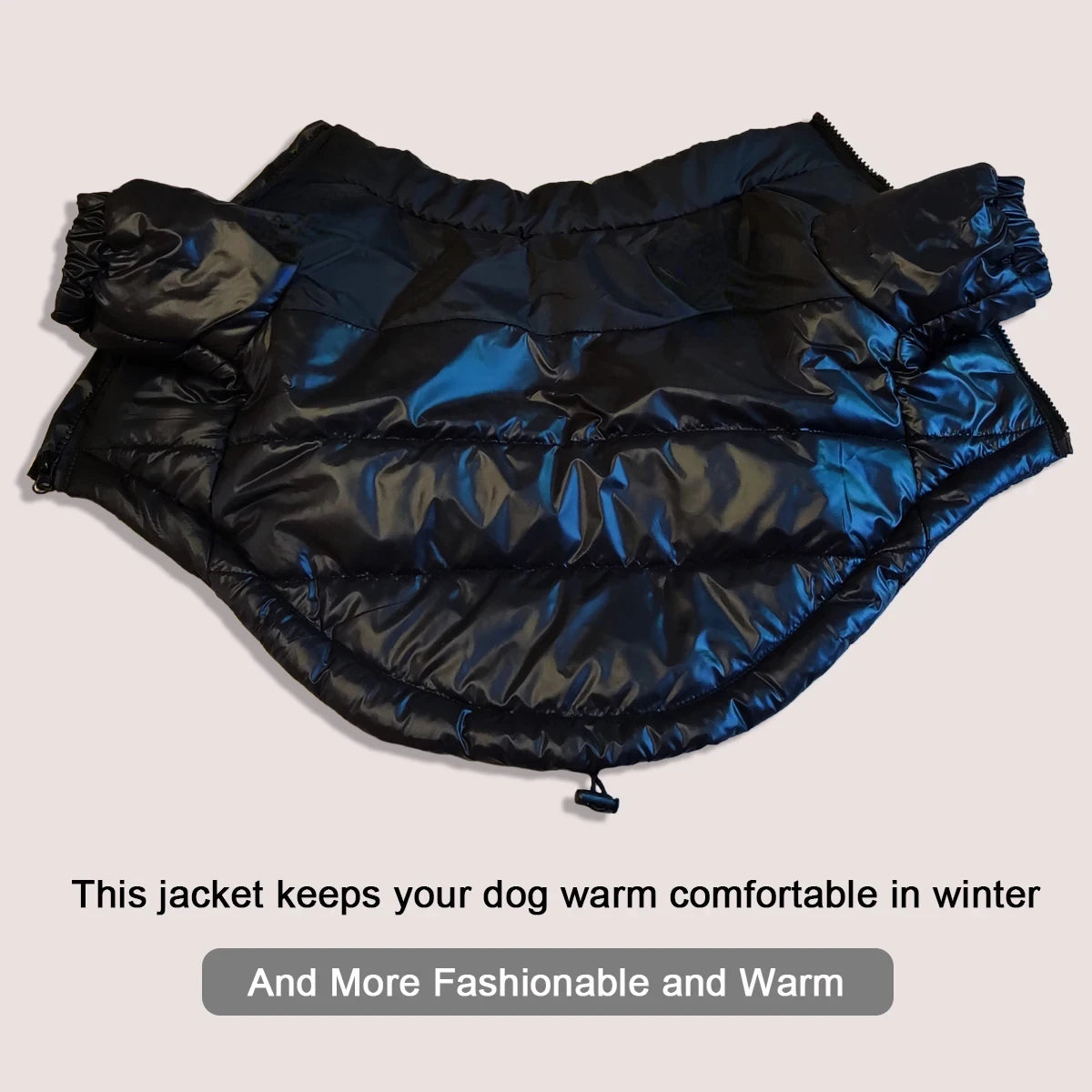 WANGUPETCN Winter Windproof Dog Jacket Reflective Coat