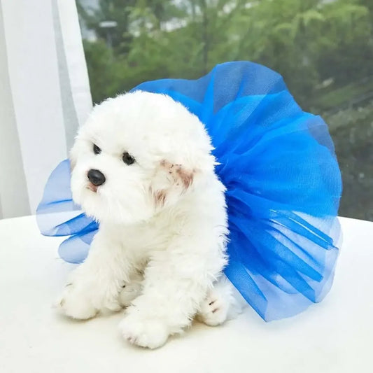 CN Zhejiang Dog Tutu Dress For Small Pets Brand Quality
