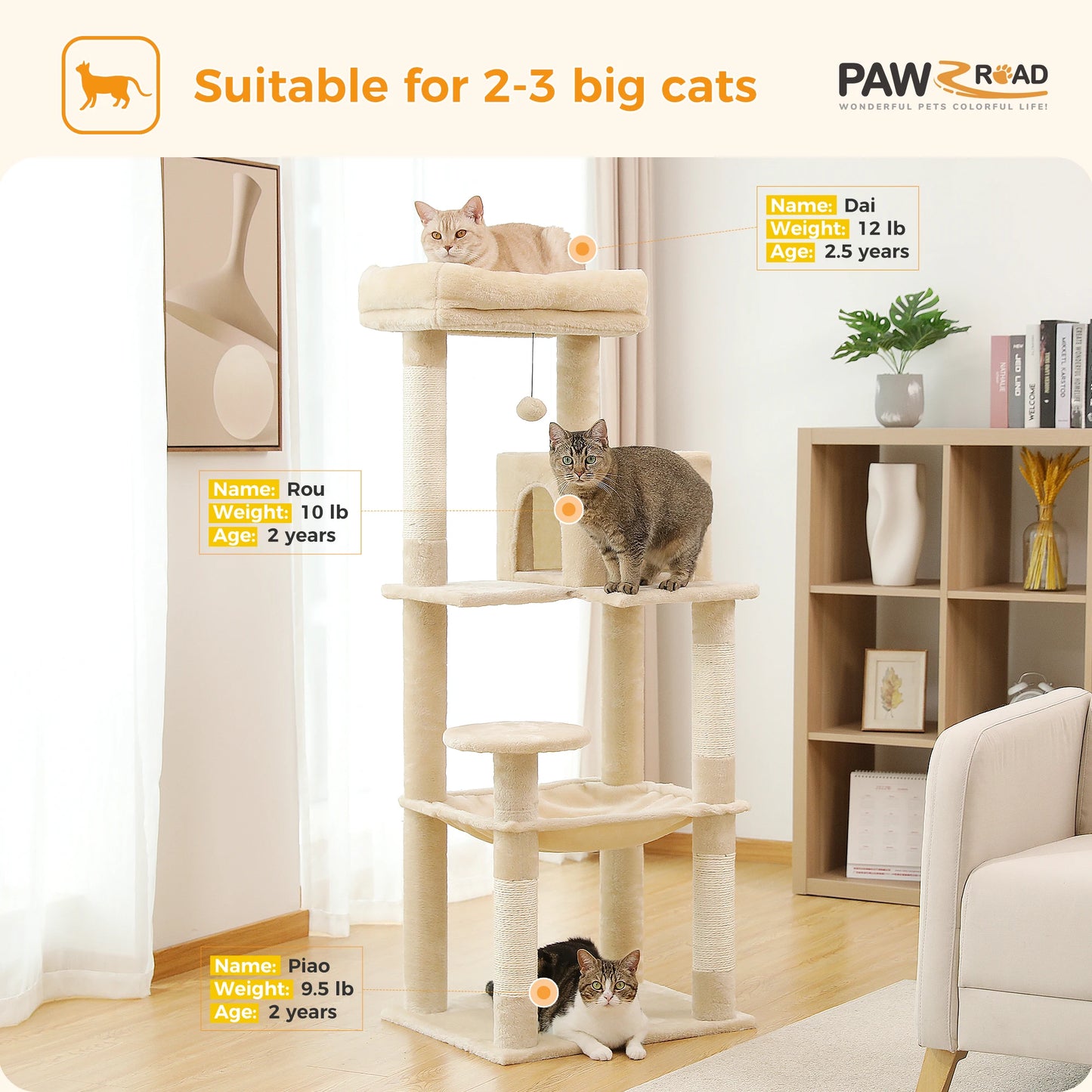 PAWZ Road Cat Tree for Indoor Large Cats with Hammock