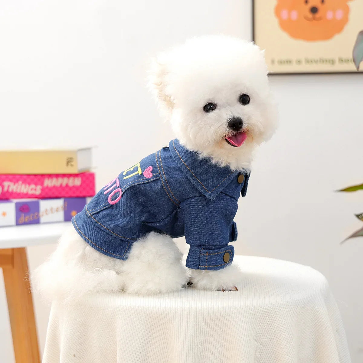 Shanghai Denim Jacket For Dogs Letter Print Cozy Pet Wear