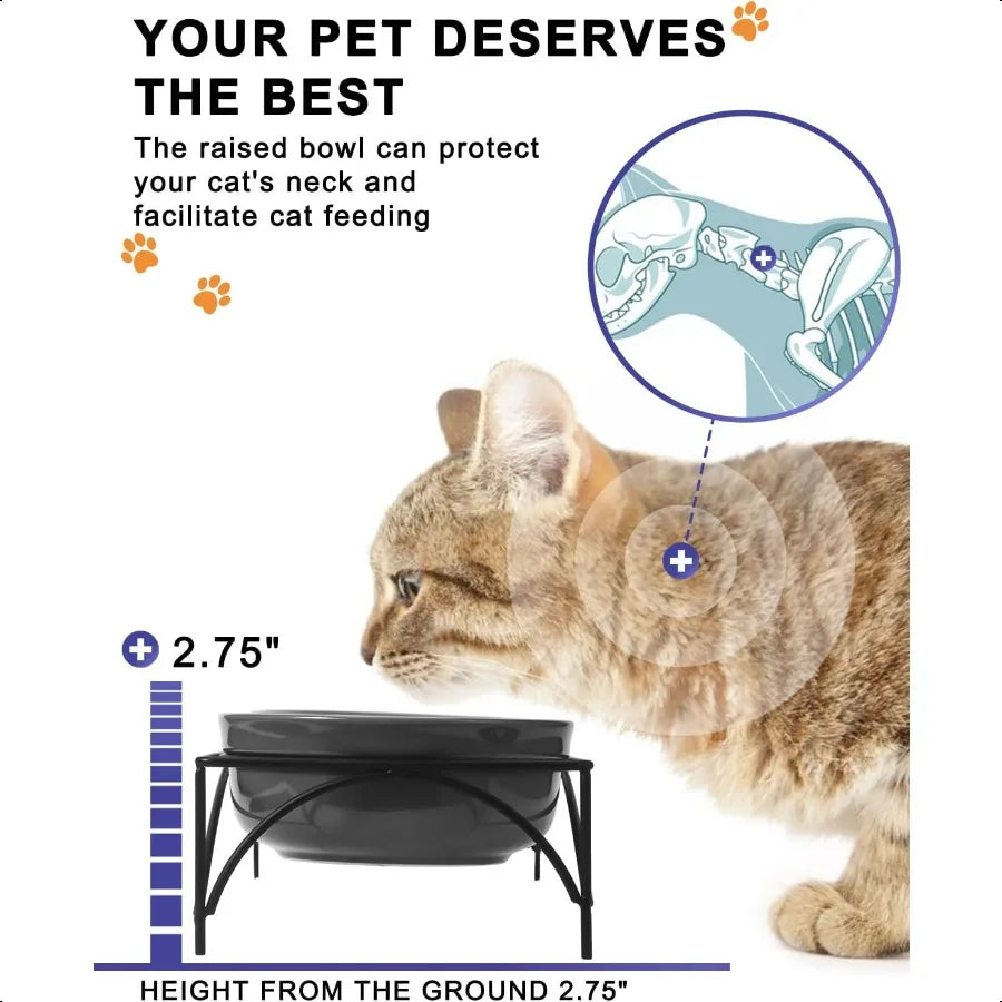 Hign-concerned Ceramic Raised Pet Bowls for Food and Water