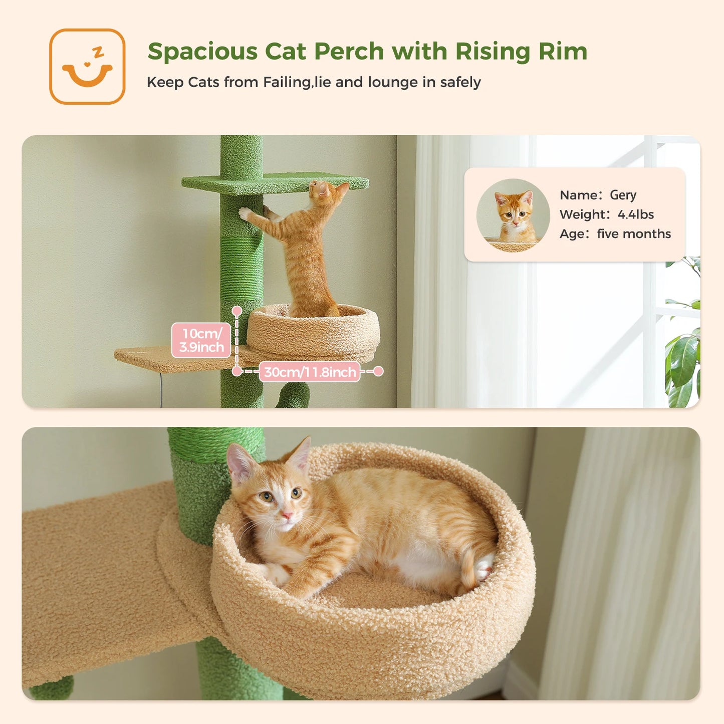 PEQULTICN Adjustable Height Cactus Cat Tree Floor Ceiling