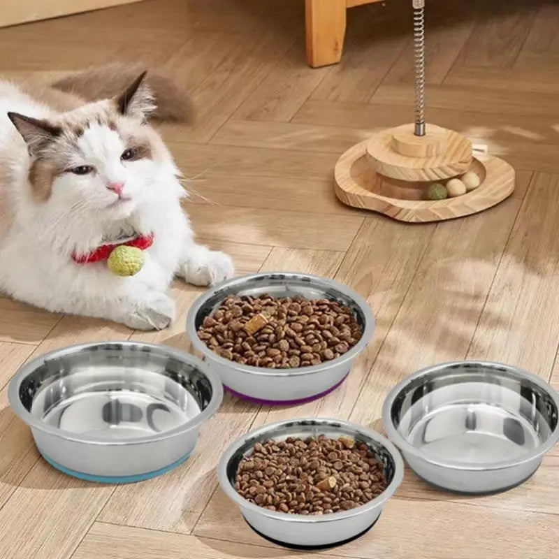 Stainless Steel Pet Bowl With Non-Slip Base, Heavy Duty Bowl