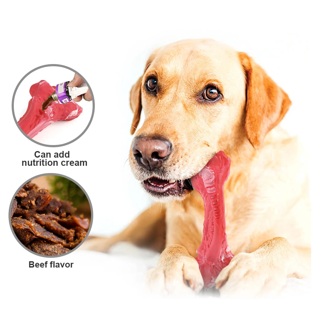 MASBRILL Bone Chew Toy for Dogs Rubber Teeth Cleaning