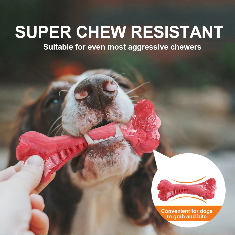 MASBRILL Bone Chew Toy For Dogs Treat Dispensing Rubber