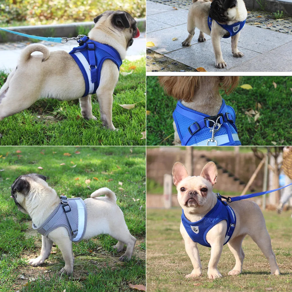 NONECN Dog Harness And Leash Set Vest Style Reflective