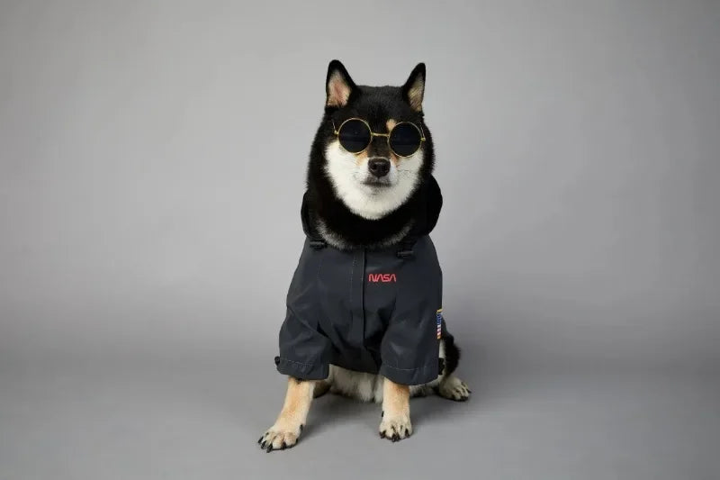 Dog Reflective Raincoat Space Suit Hoodie Pet Coat Apparel