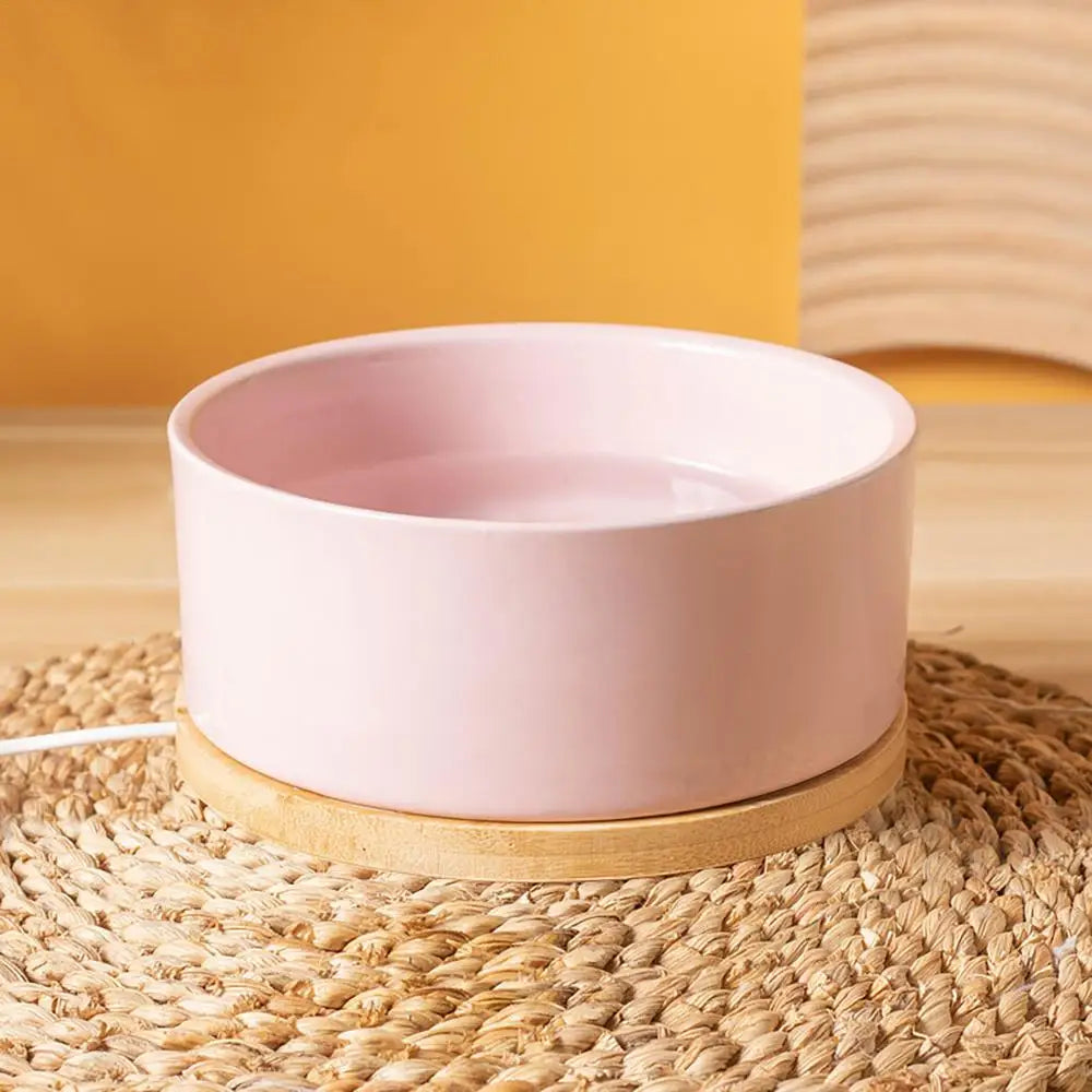 Hign-concerned Thermostatic Heated Pet Water Bowl Outdoor