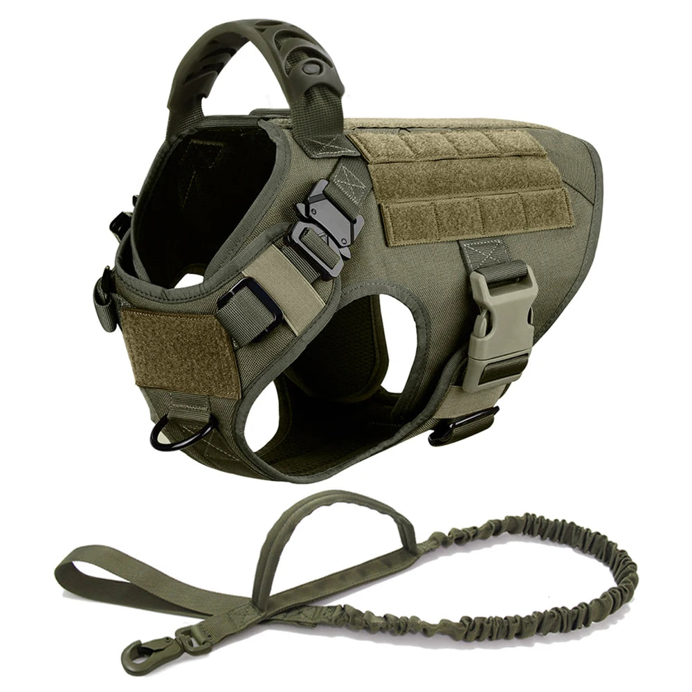 PETRAVEL Dog Harness And Leash Set For Training
