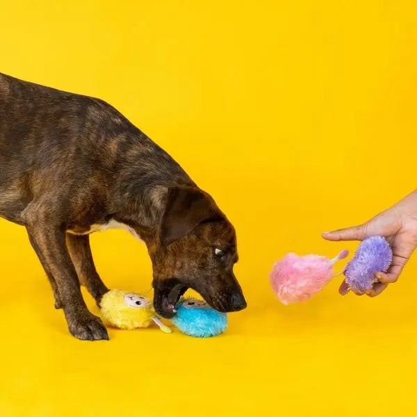 Mini Monster Pals Dog Toys 4 Pack Interactive Squeaky Fun