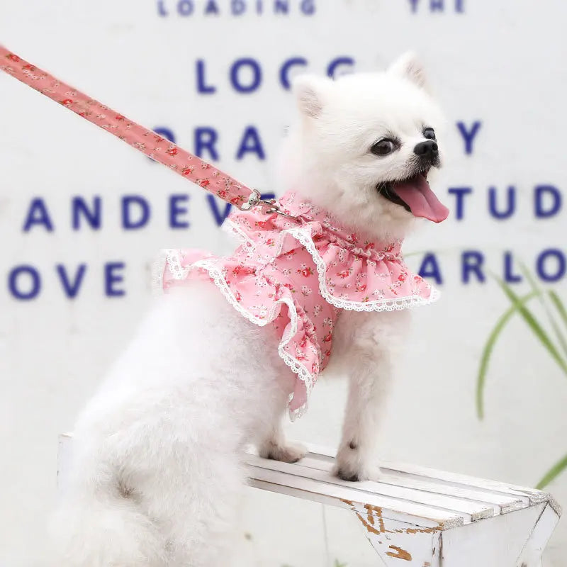 Dog Cat Harness Leash Set Adjustable Floral Printed Lace Vest