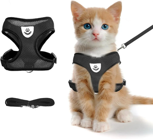 Cat Harness Vest With Adjustable Mesh Leash For Small Pets