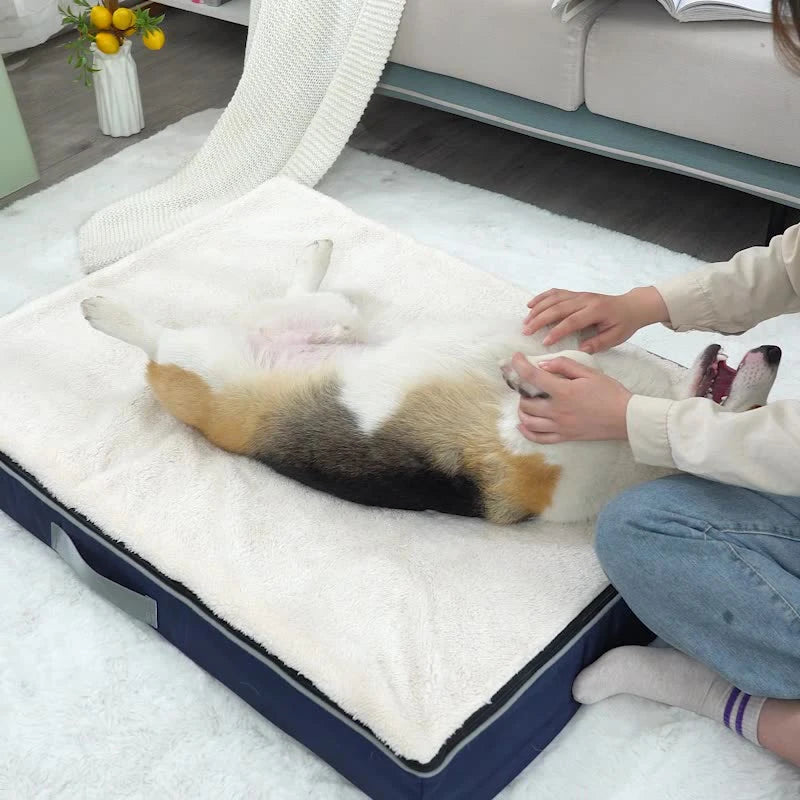 Benepaw Memory Foam Dog Bed Waterproof Washable Removable Cover