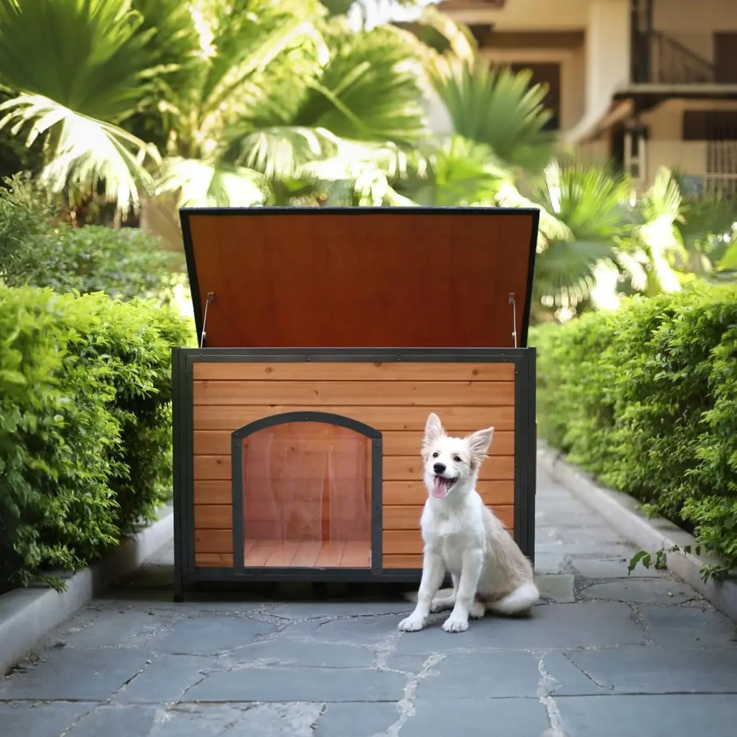 ZHUXIANG Weatherproof Chew Proof Outdoor Dog Kennel
