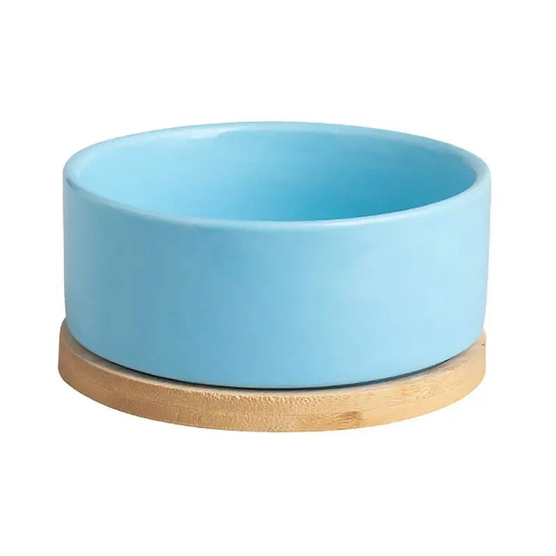 Hign-Concerned Thermostatic Heated Pet Water Bowl Outdoor