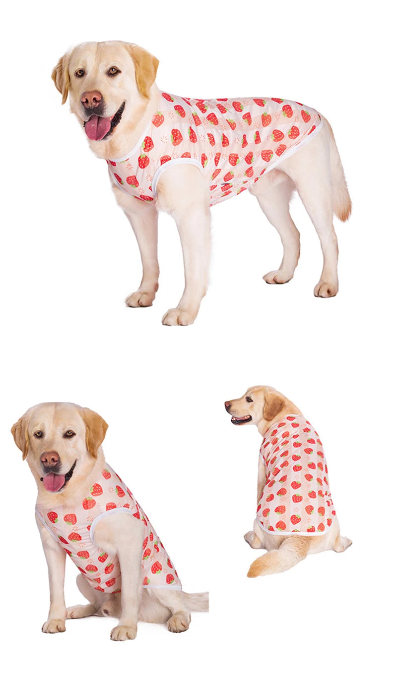 Summer Cooling Dog Vest Breathable Mesh Sleeveless Shirt