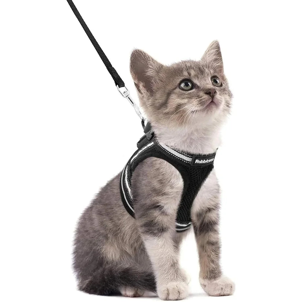 Fujian Cat Harness And Leash Set Escape Proof Vest