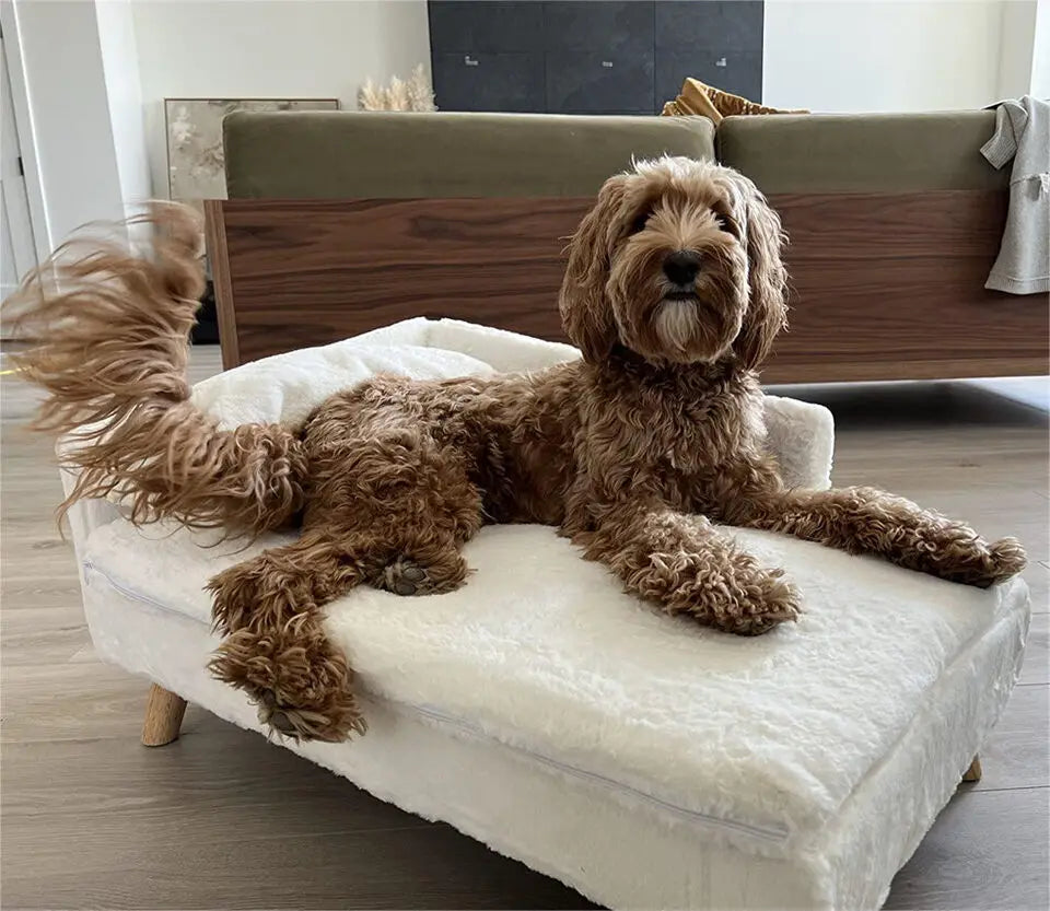 BORWARTCN Luxury Elevated Dog Sofa Bed With Backrest Wooden Legs