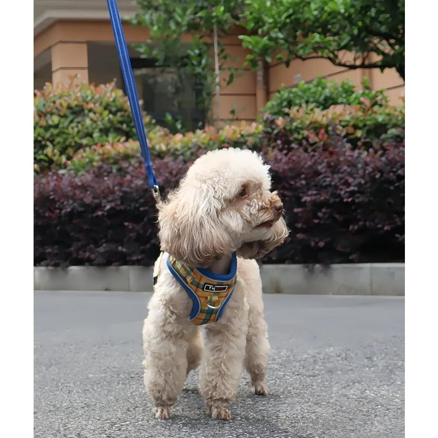 High-concerned Reflective Dog Harness and Leash Set No Pull Design