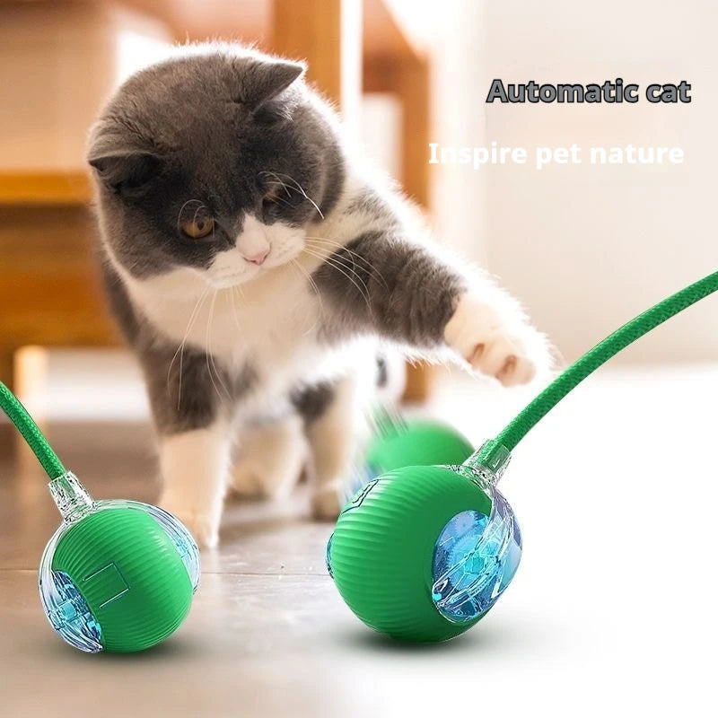 Pet Interactive Electric Rolling Spherical Ball Toy For Dogs