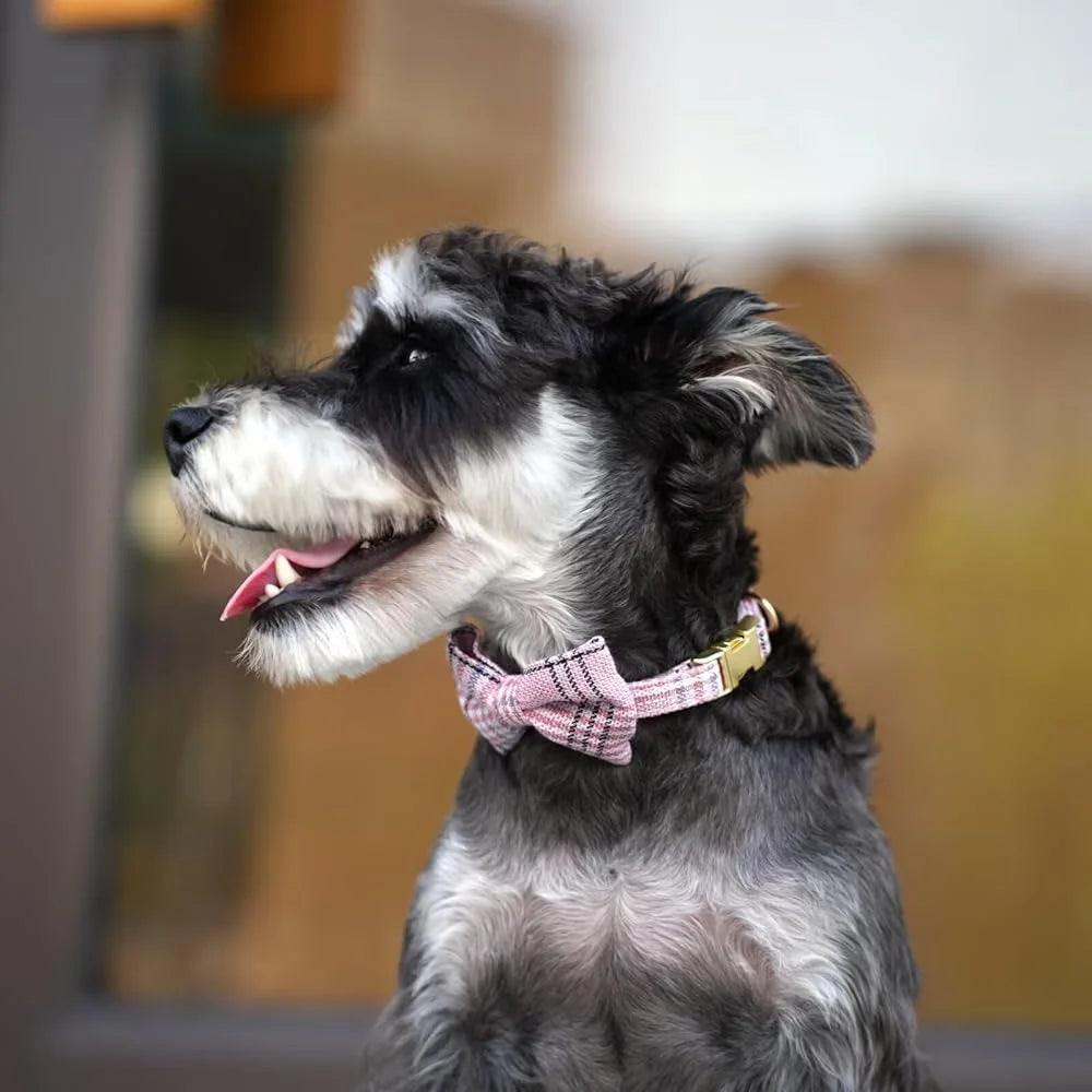 Fujian Dog Harness Leash Set Plaid Design For Walks