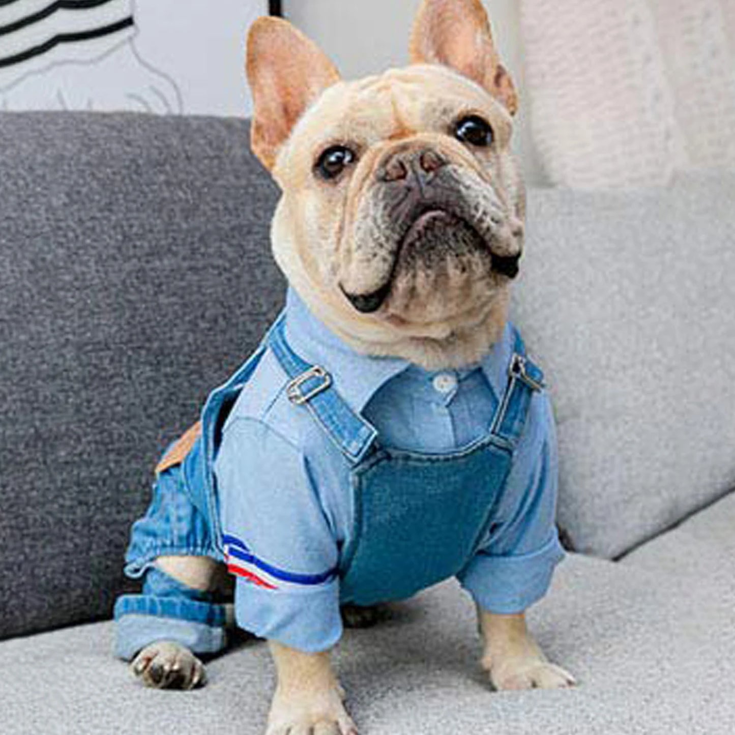 Dog Outfits Denim Jumpsuit For Small Medium Dogs And Cats