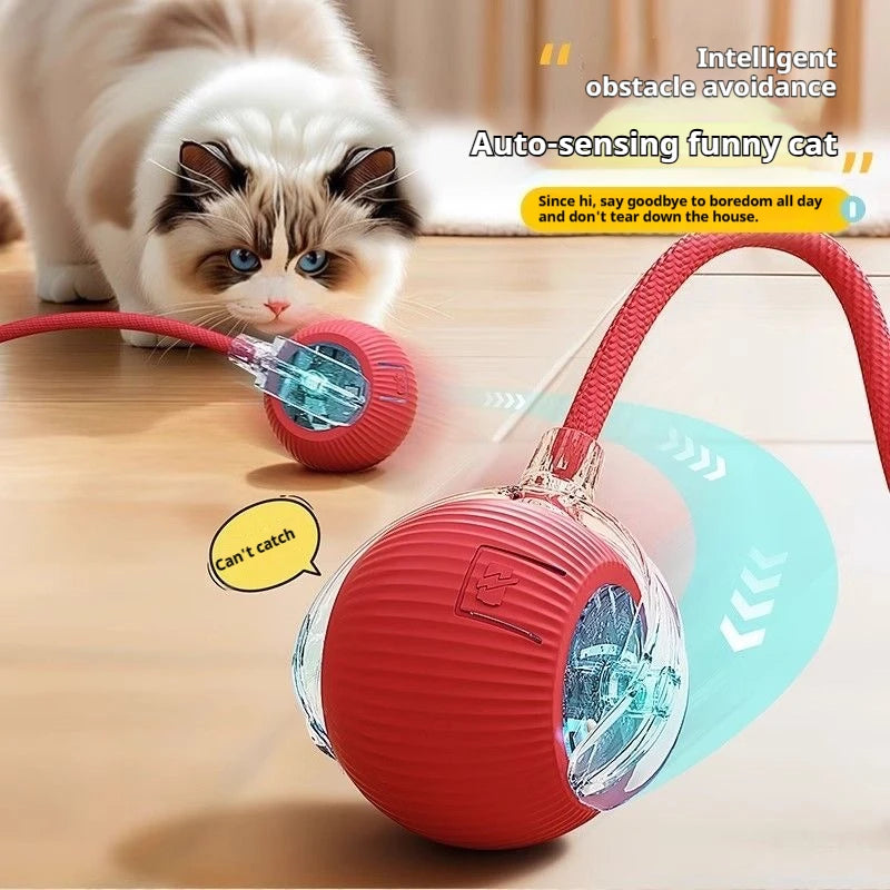 Pet Interactive Electric Rolling Spherical Ball Toy For Dogs