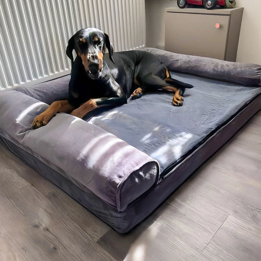BORWARTCN Calming Orthopedic Memory Foam Dog Bed For Dogs