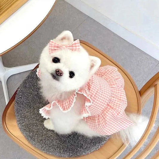 Spring Summer Plaid Lace Pet Dress For Dogs And Cats