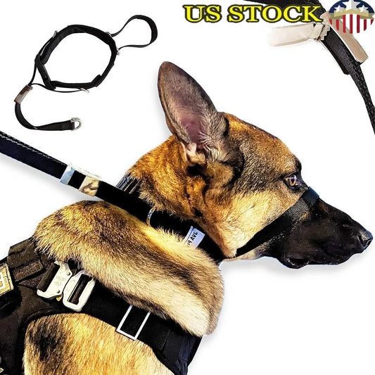 Fujian No Pull Dog Headcollar Adjustable Training Gear