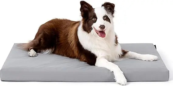 DAFIFY CybArmour Indestructible Dog Bed Outdoor Chew Proof