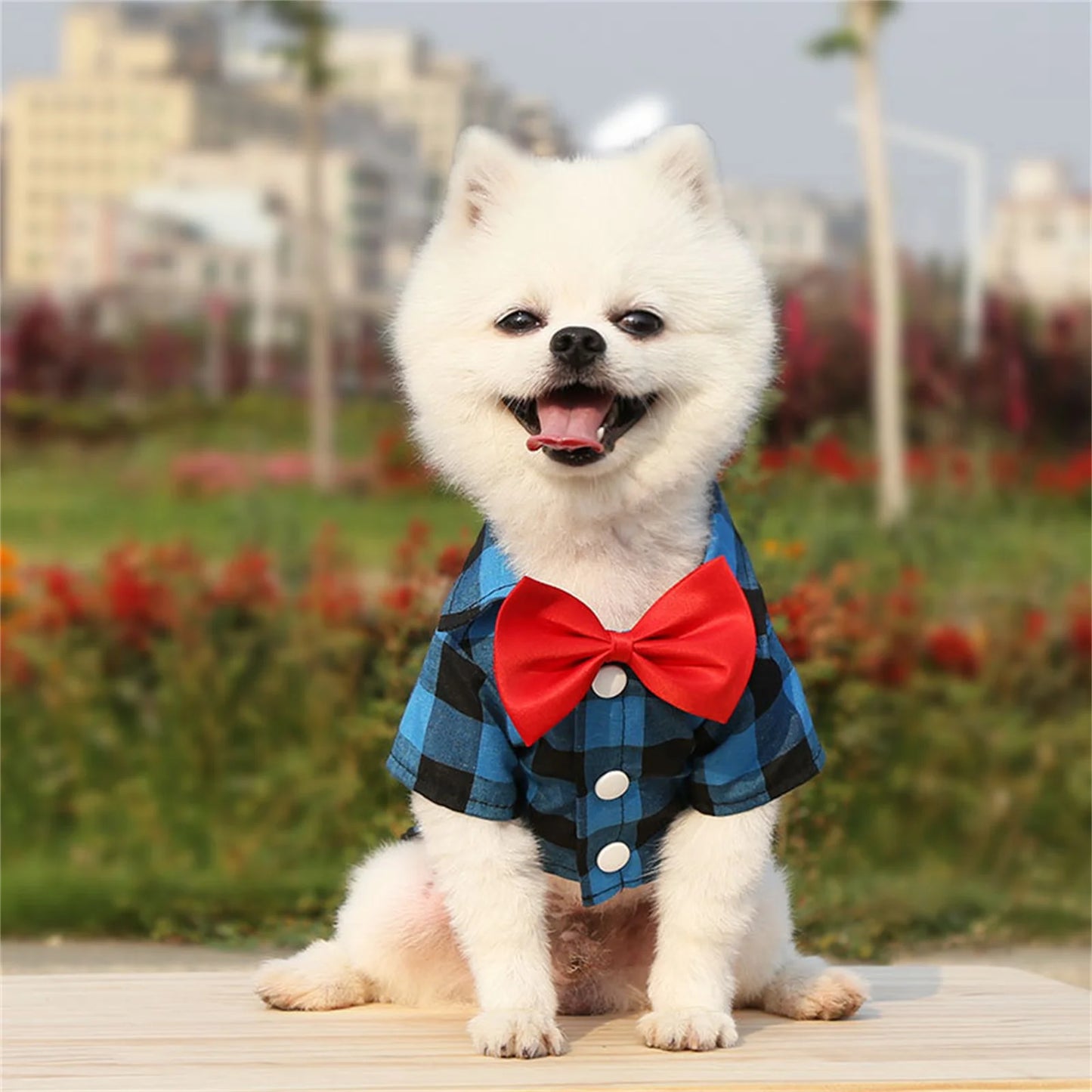 Plaid Pet Formal Suit For Dogs And Cats Tie Vest Costume