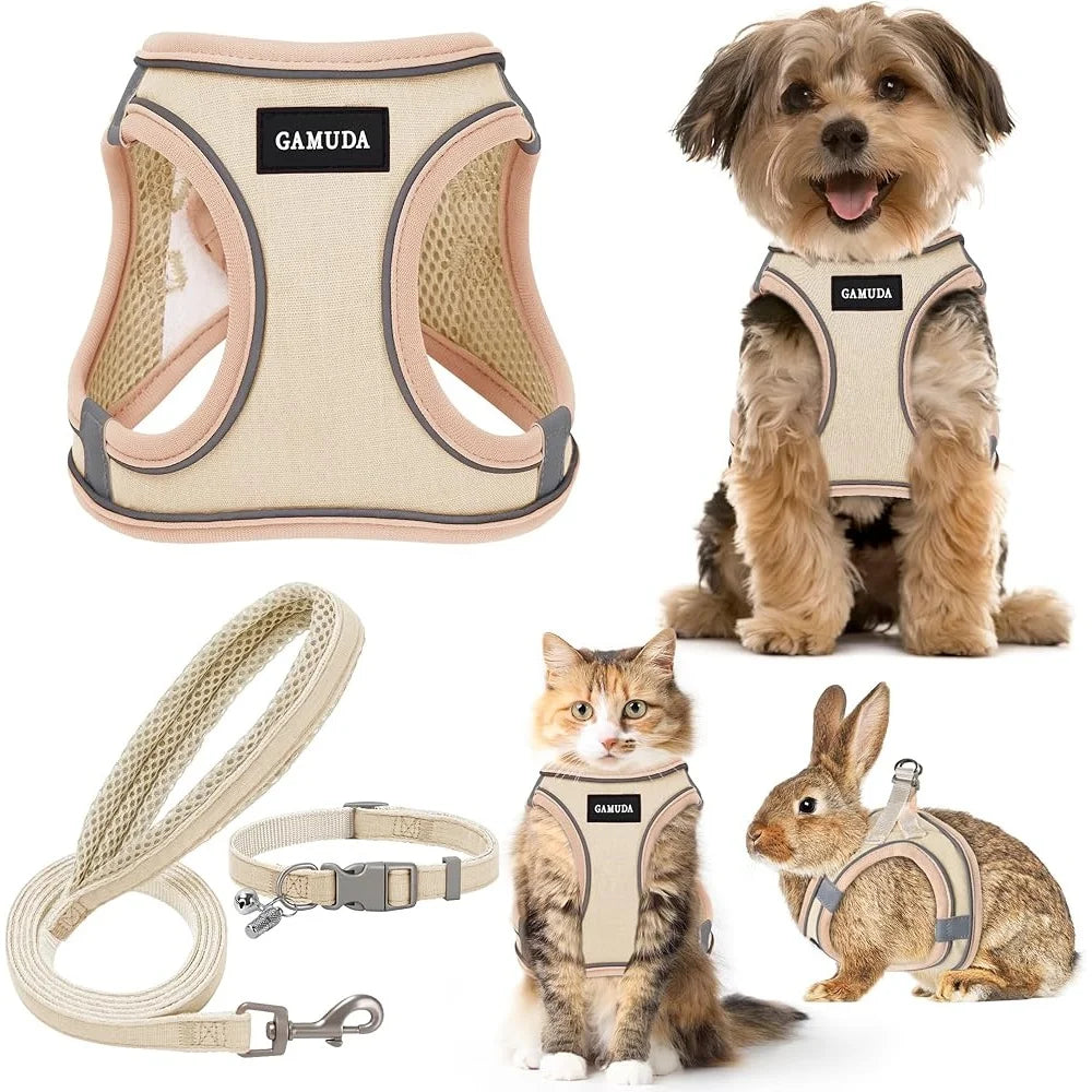 Fujian No Pull Pet Harness Leash Collar Set Step In