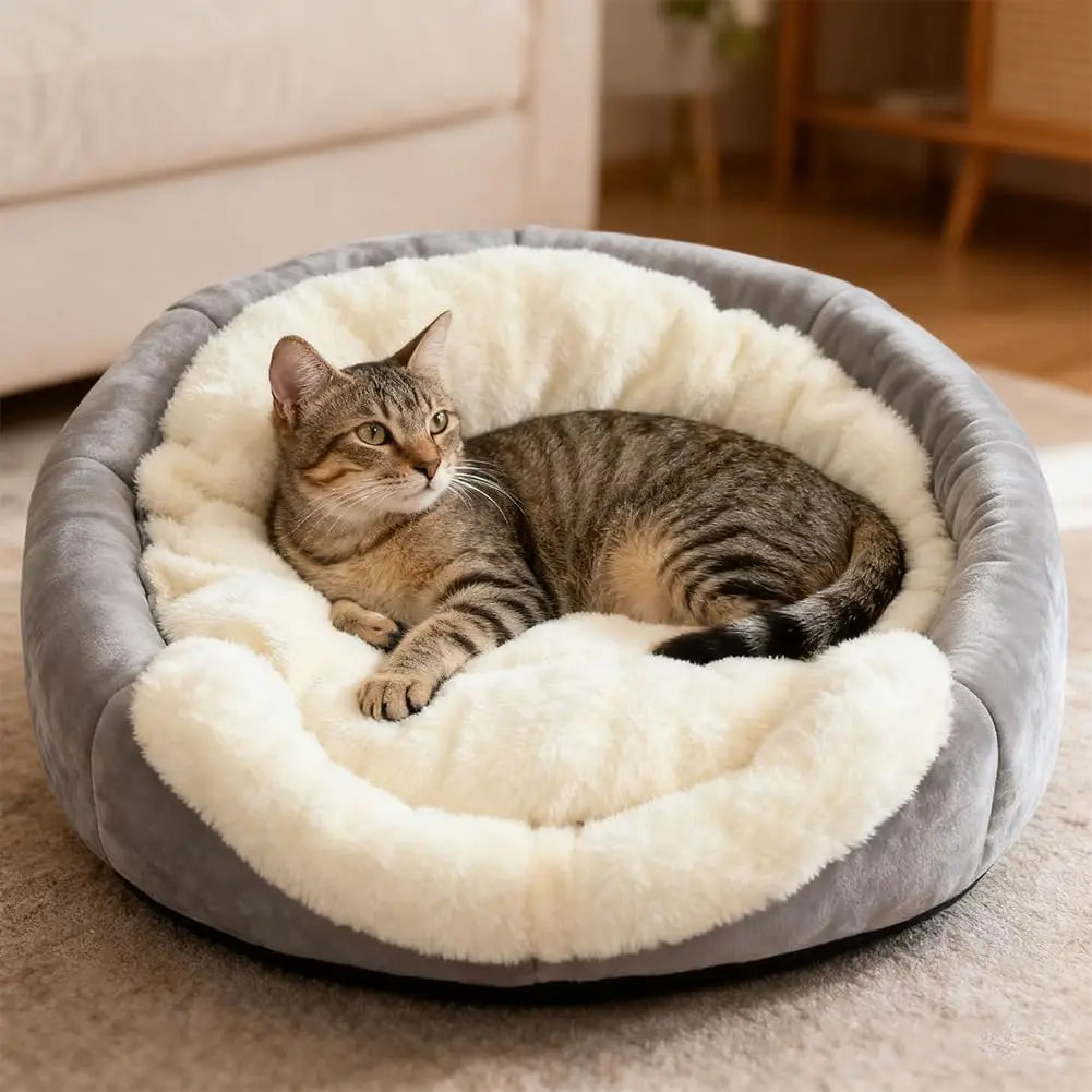 Rabbit Shaped Cat Cave Bed With Hanging Toy Indoor Cats
