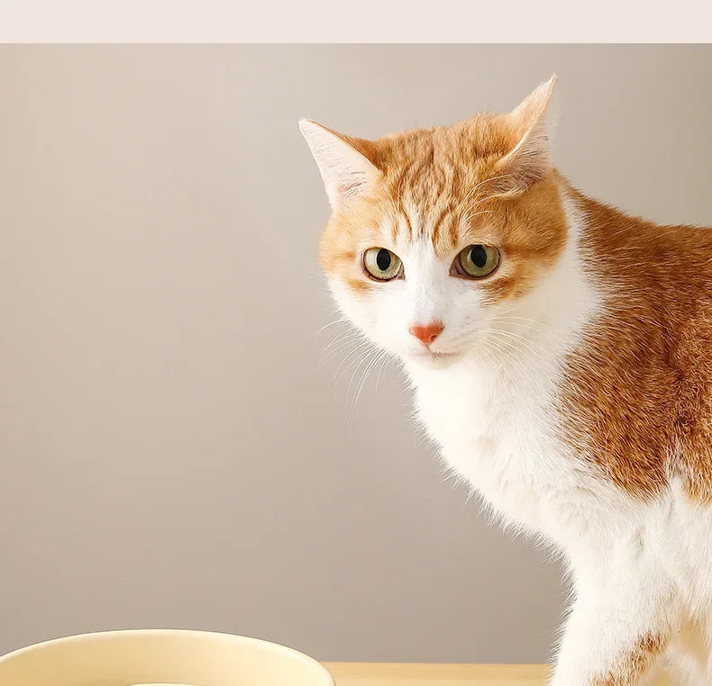 Ceramic Pet Slow Feeder Bowl For Cats And Small Dogs