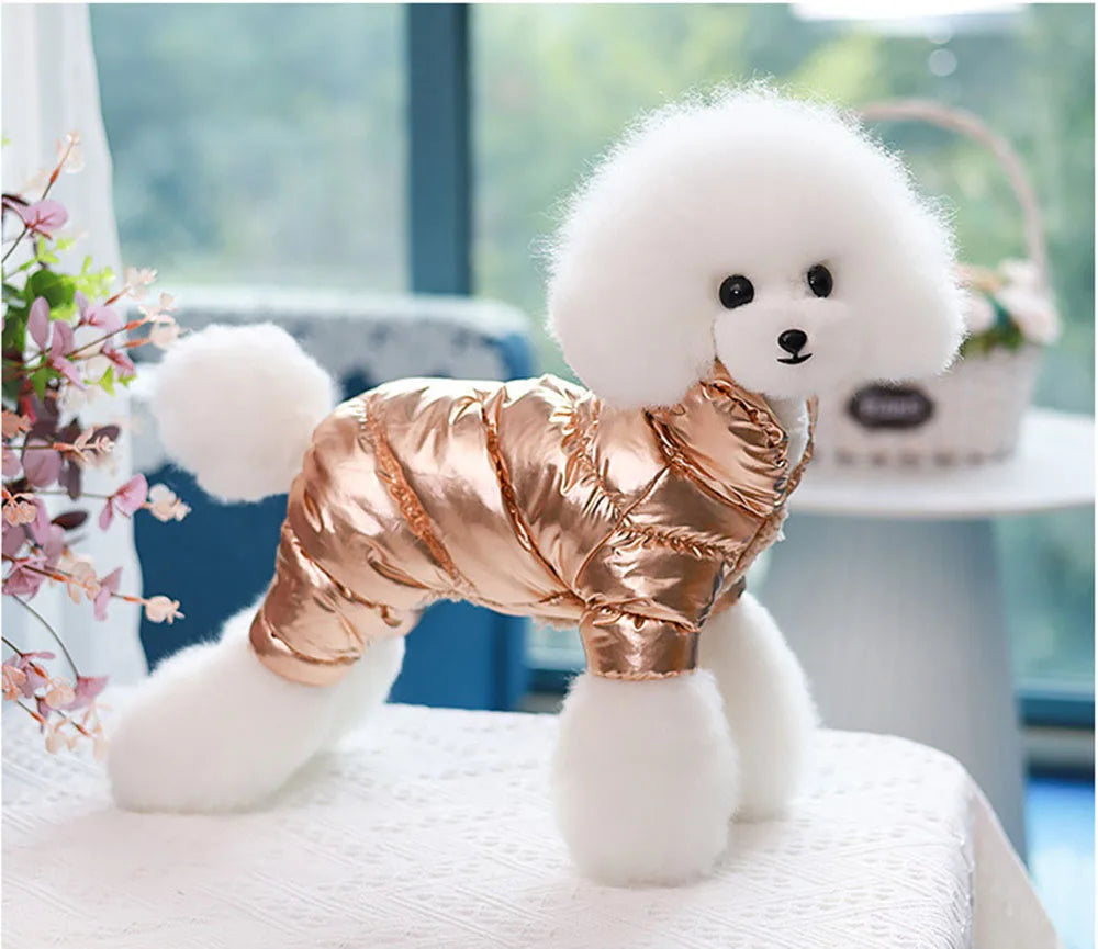 Winter Dog Coat Padded Cotton Warm Outfit For Small Dogs