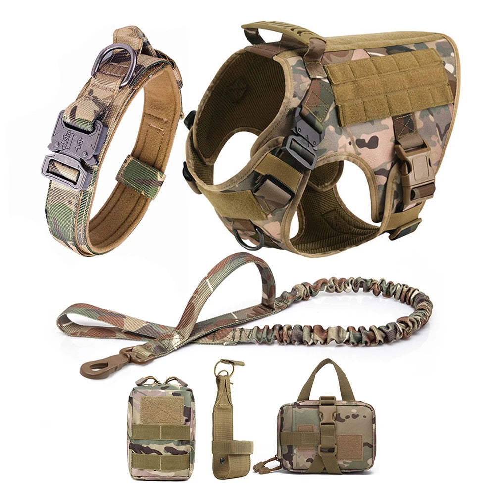 PETRAVEL Dog Harness And Leash Set For Training