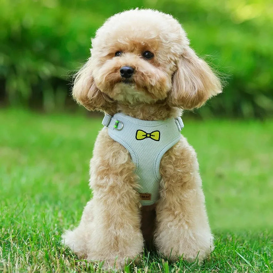 High-concerned No Pull Dog Harness With Leash Escape Proof Reflective