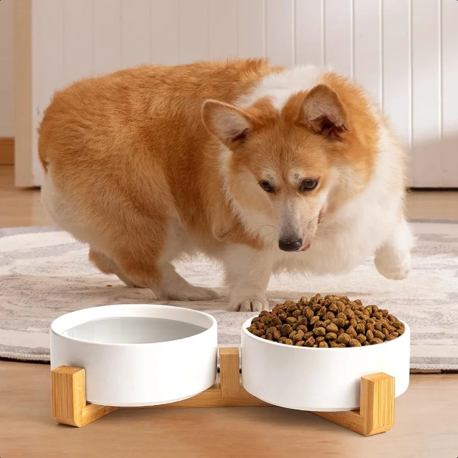 Hign Concerned Ceramic Dog Cat Bowl Set With Wooden Stand