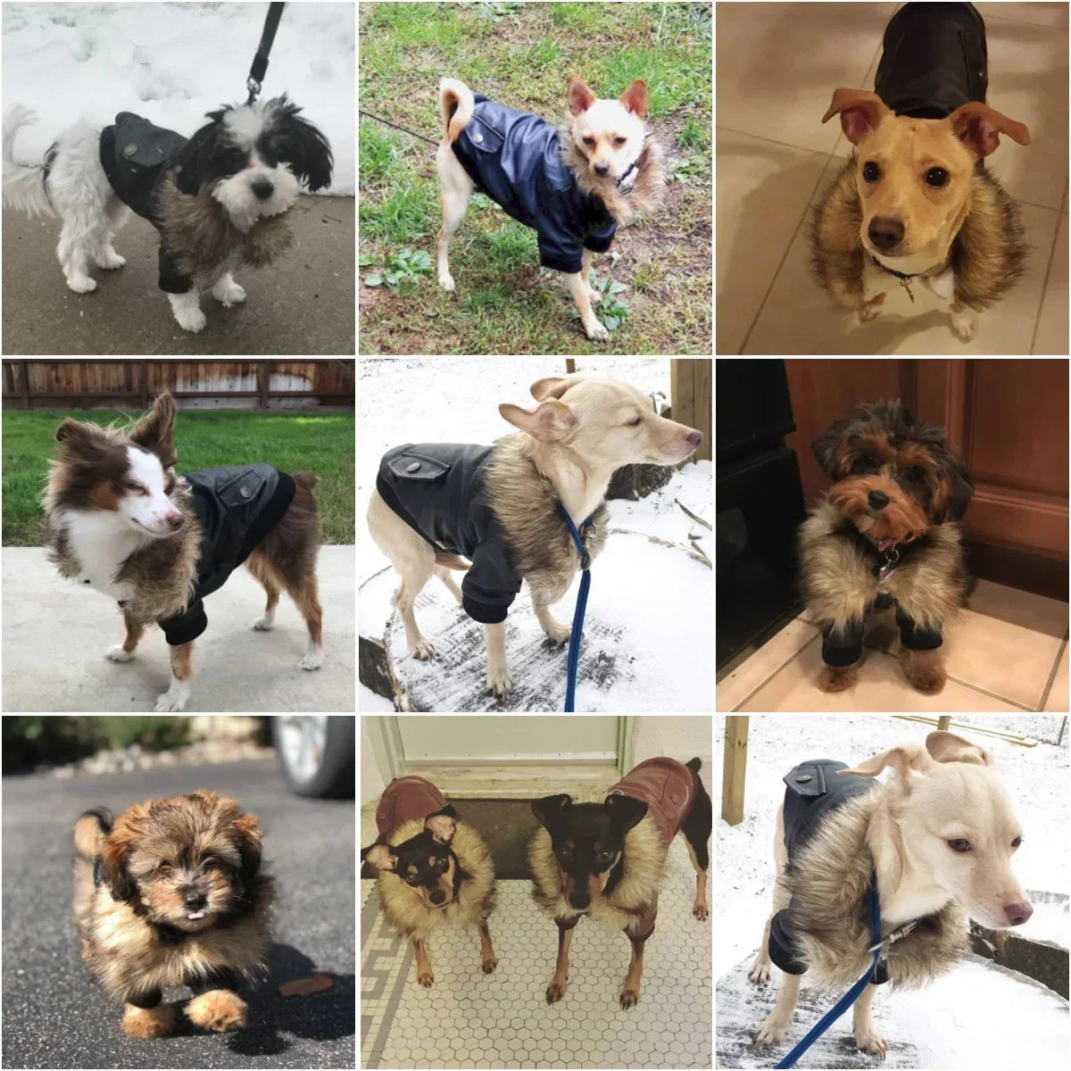 Hign Concerned Dog Winter Coat Waterproof PU Leather Jacket